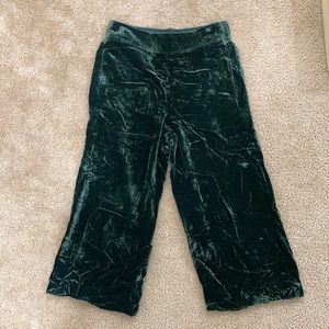 Velvet gauchos